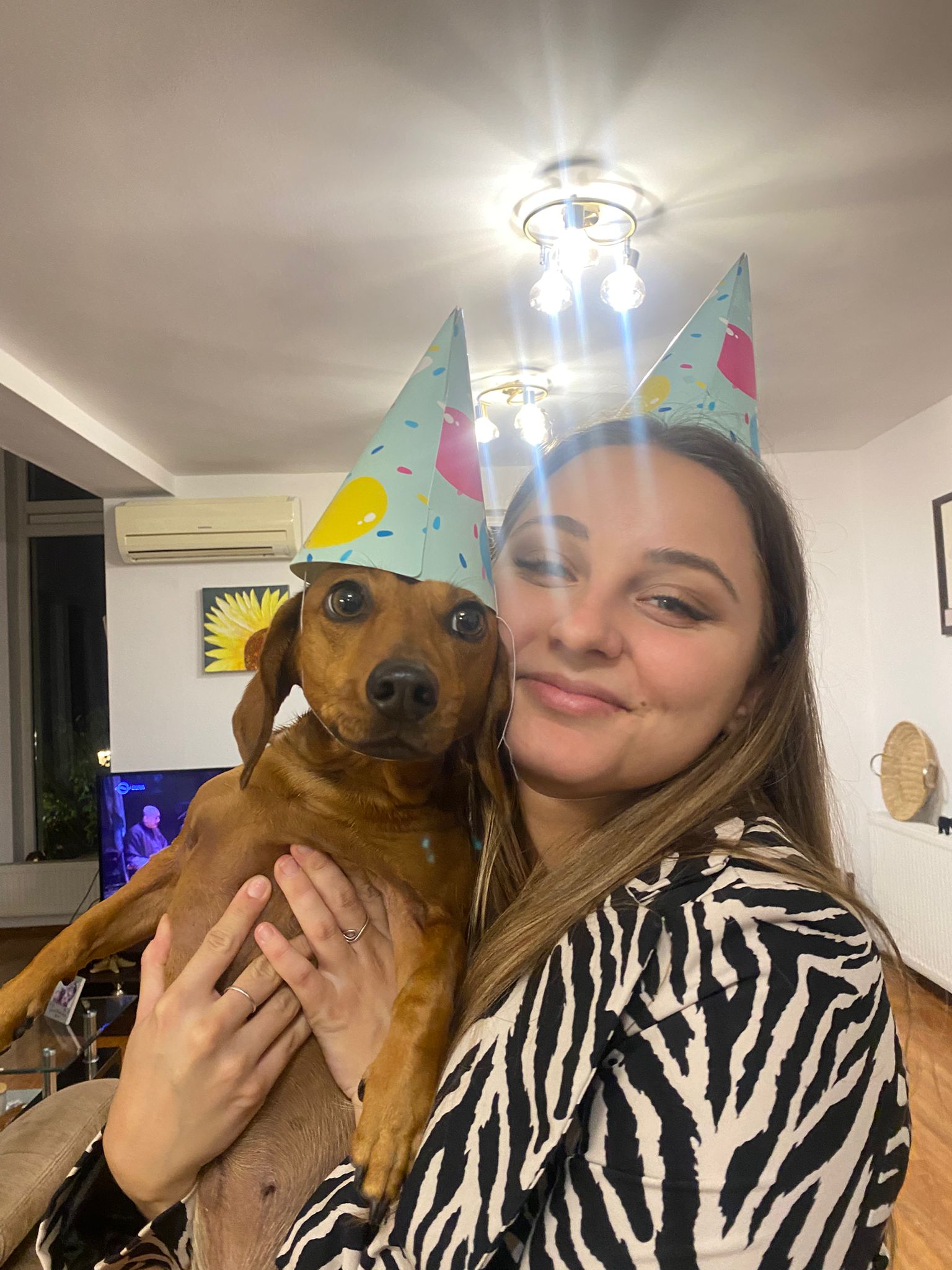 Studenta si iubitoare de animale, ofer servicii